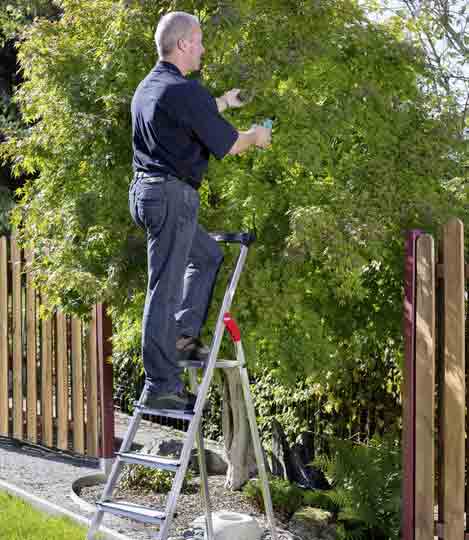 Step Ladder for garden