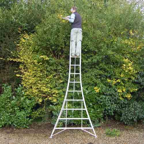 tripod ladder for garden